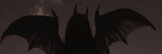 A_Onna33's profile banner image