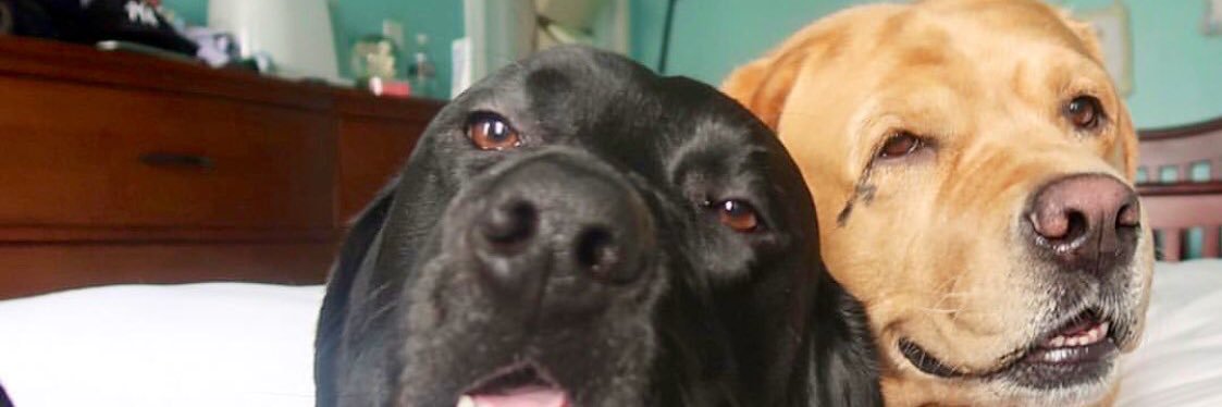 KevolitoDavid's profile banner image