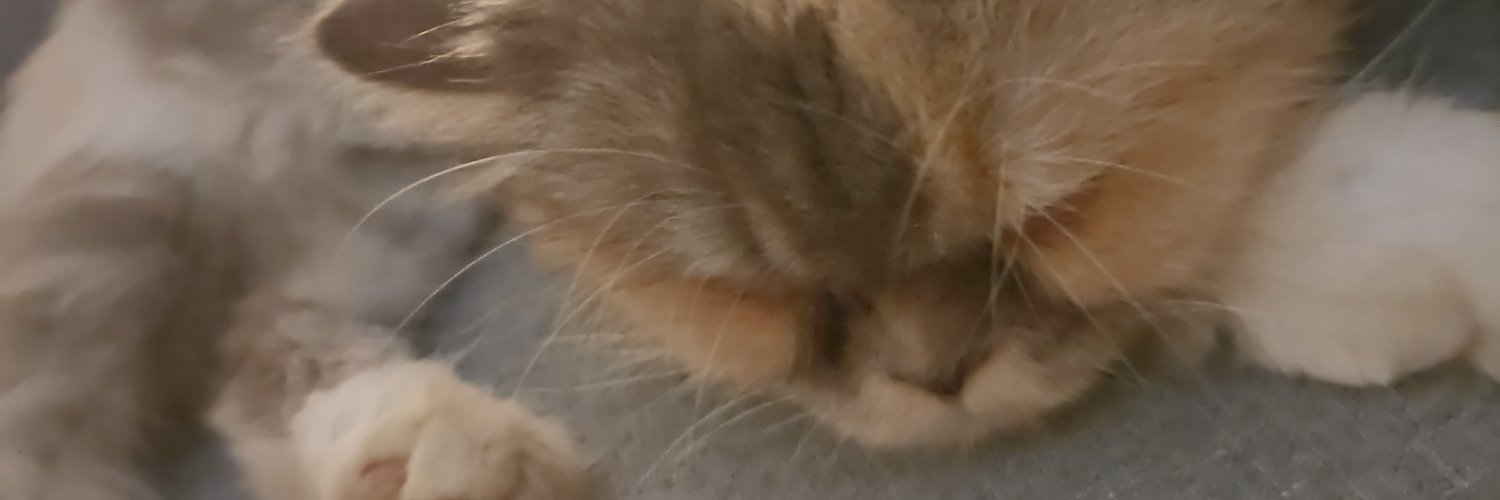Stephanos359's profile banner image
