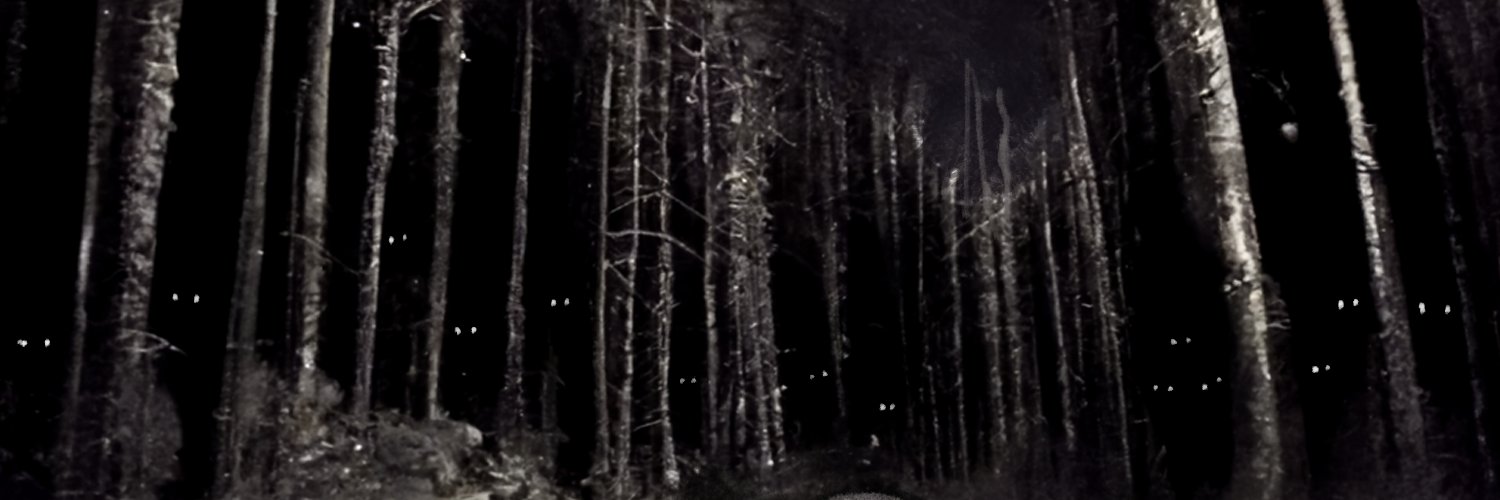 Trey Stimpson banner