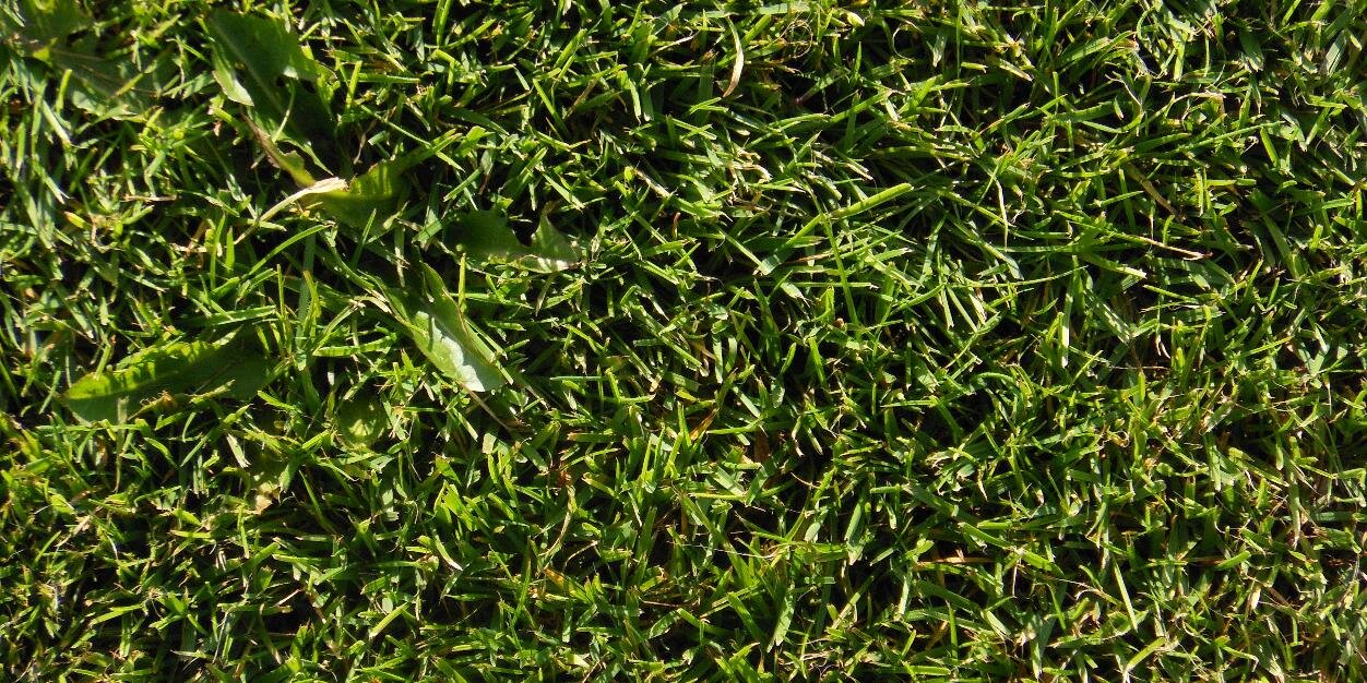 Glos County League banner