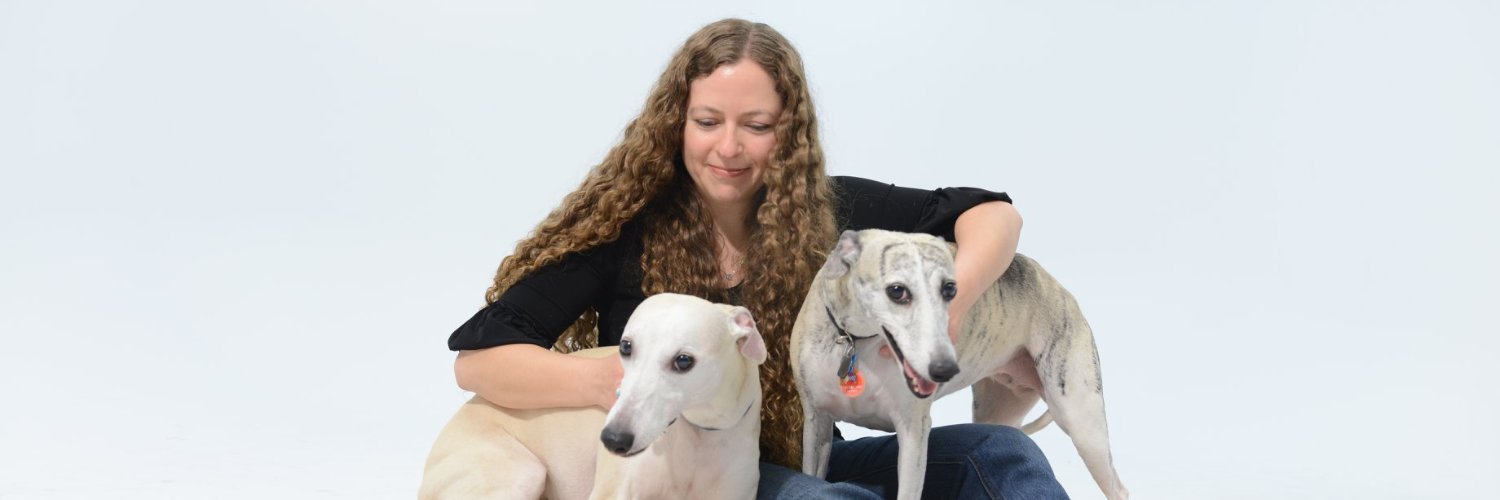 MichelleCohen's profile banner image