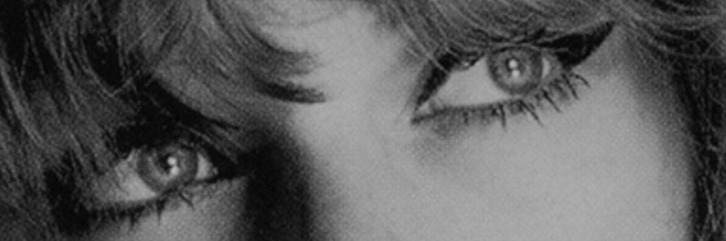 splendidist's profile banner image