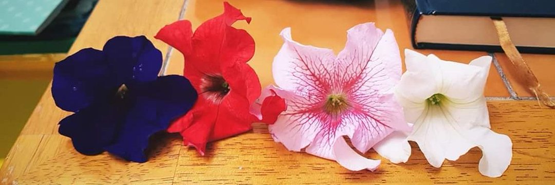 jannahfarah's profile banner image