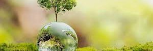 grecia perez banner