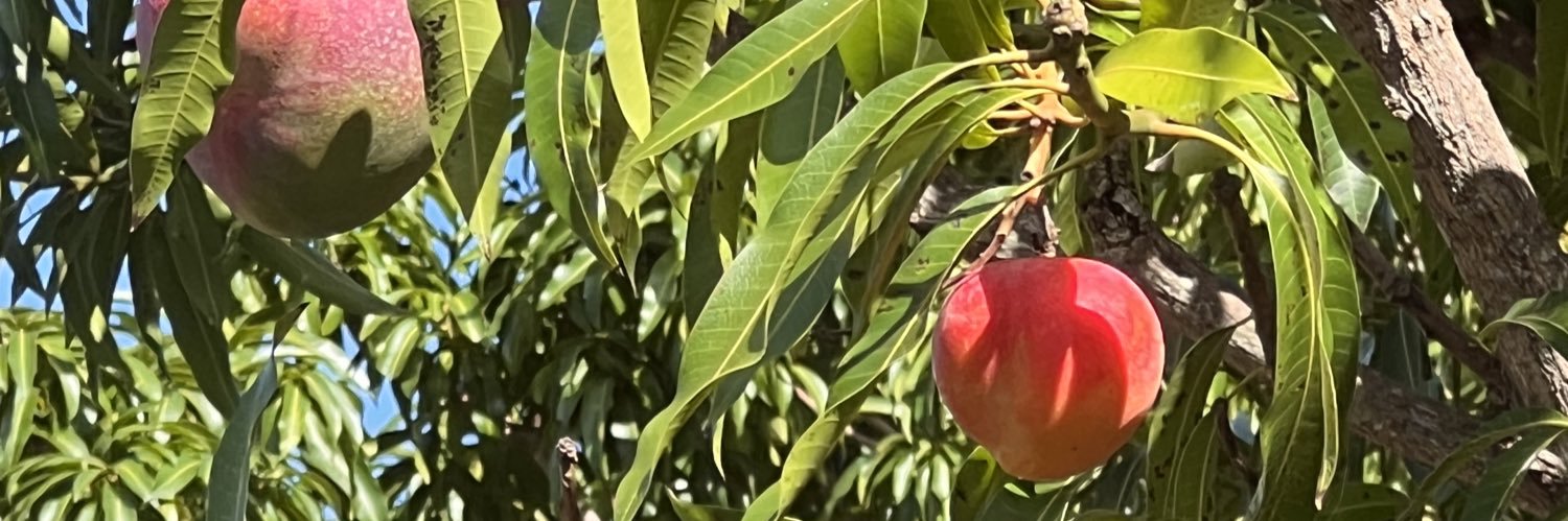 franstylz's profile banner image