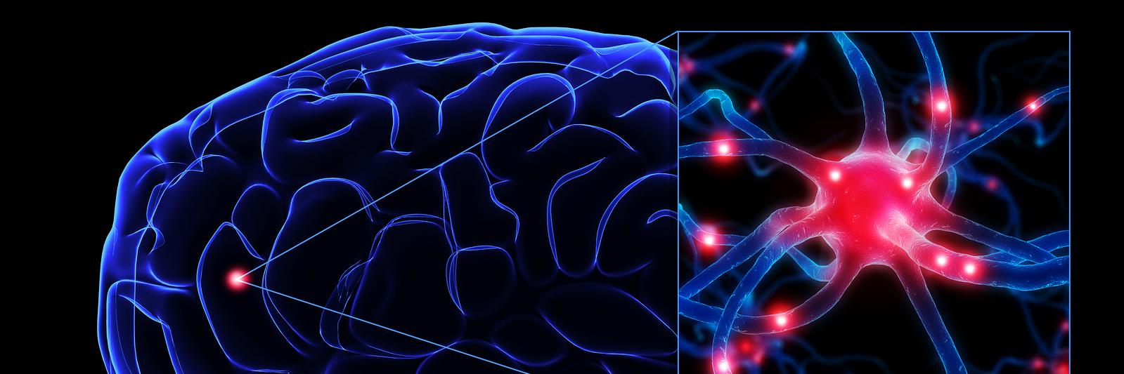 SoCal Brain Center (@SoCalBrainCente) / Posts / X