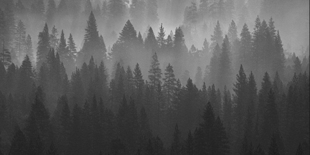 sleepingworld_'s profile banner image