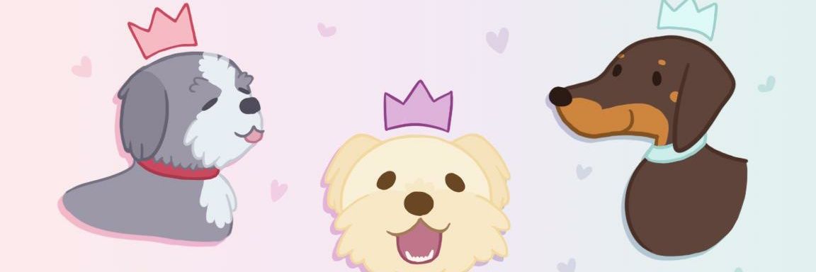 carrionSnaps's profile banner image