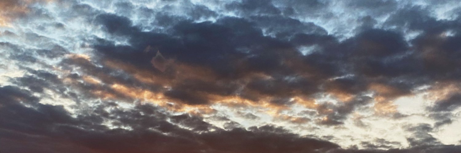 Alexiafina_'s profile banner image