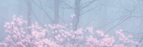 pureherojn_'s profile banner image
