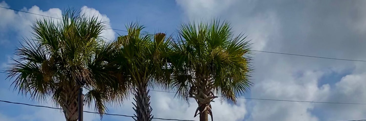 AnthonyhallJr_'s profile banner image