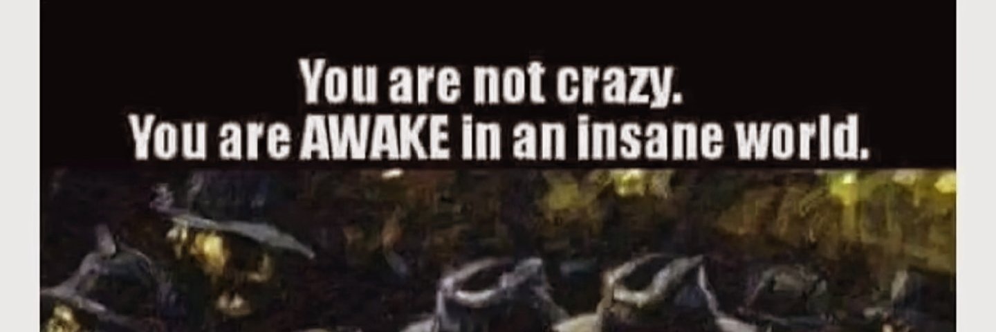 crazybastard617's profile banner image