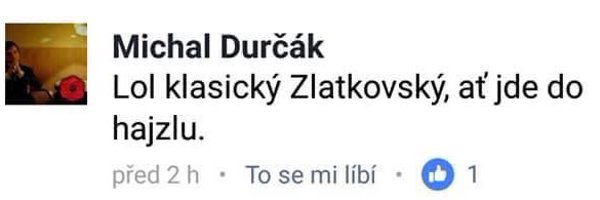 timichal Profile Banner