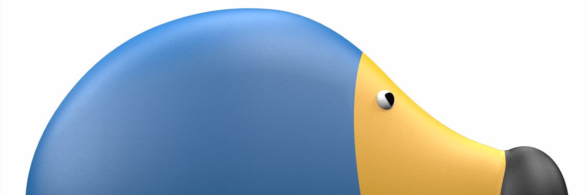 nicolapin's profile banner image