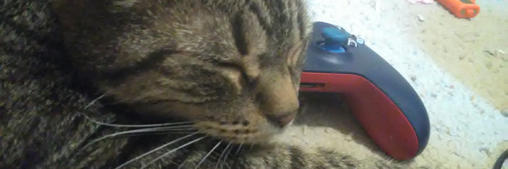 🎮 Gamer Scott 🕹 banner