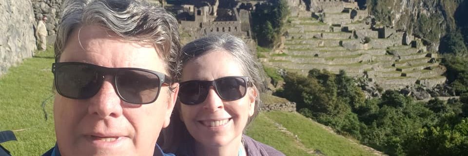 Optimism Returns banner