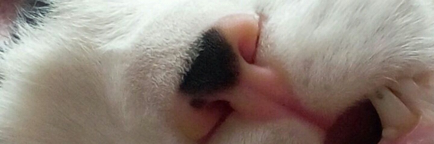 Jens1603's profile banner image