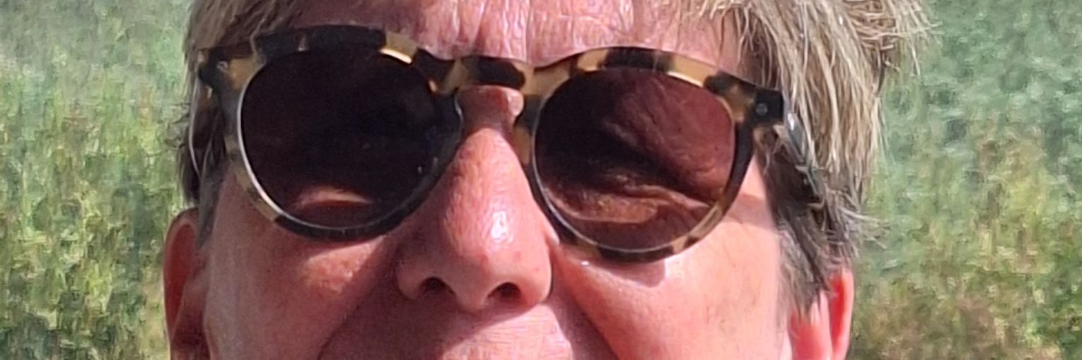 Dirk Meulemans banner