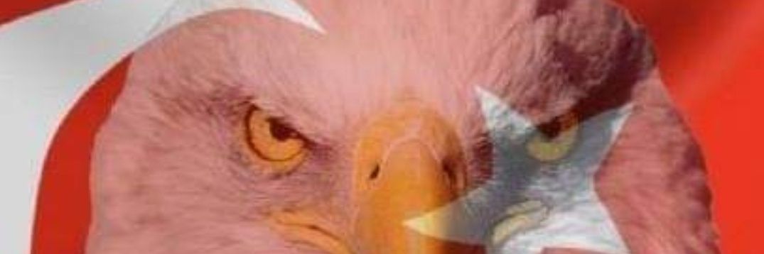 sbitgen's profile banner image