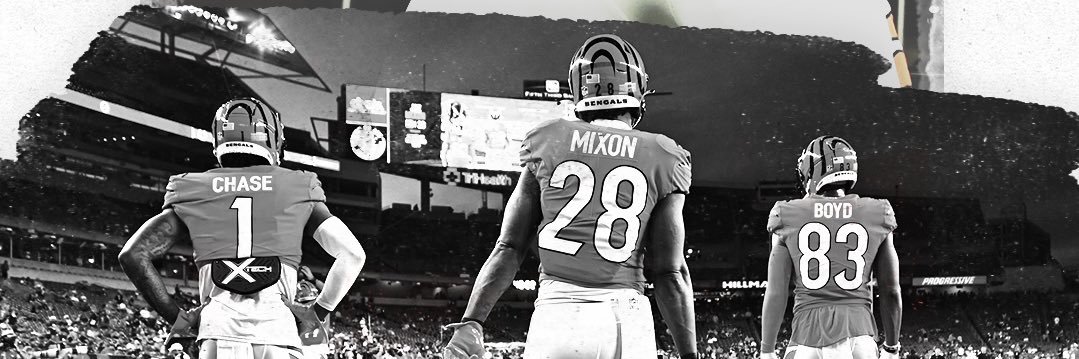 Timothy Schie banner