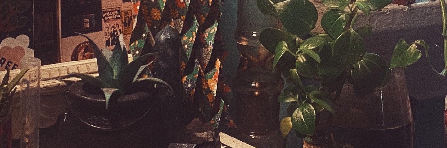 kayleaelyak's profile banner image
