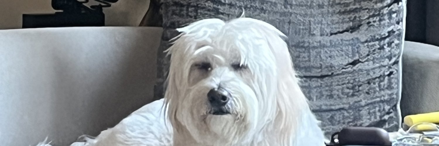pelooyb's profile banner image