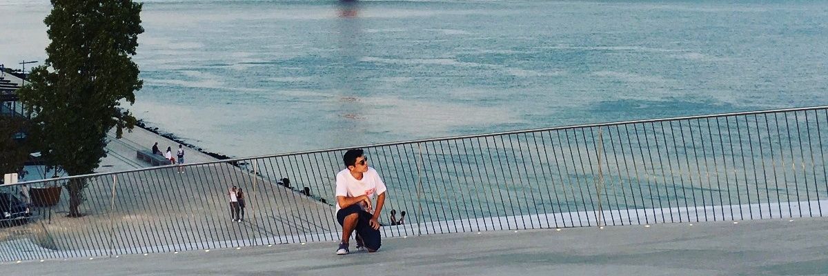 Leal das sonecas banner