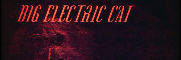 _BIGELECTRICCAT Profile Banner
