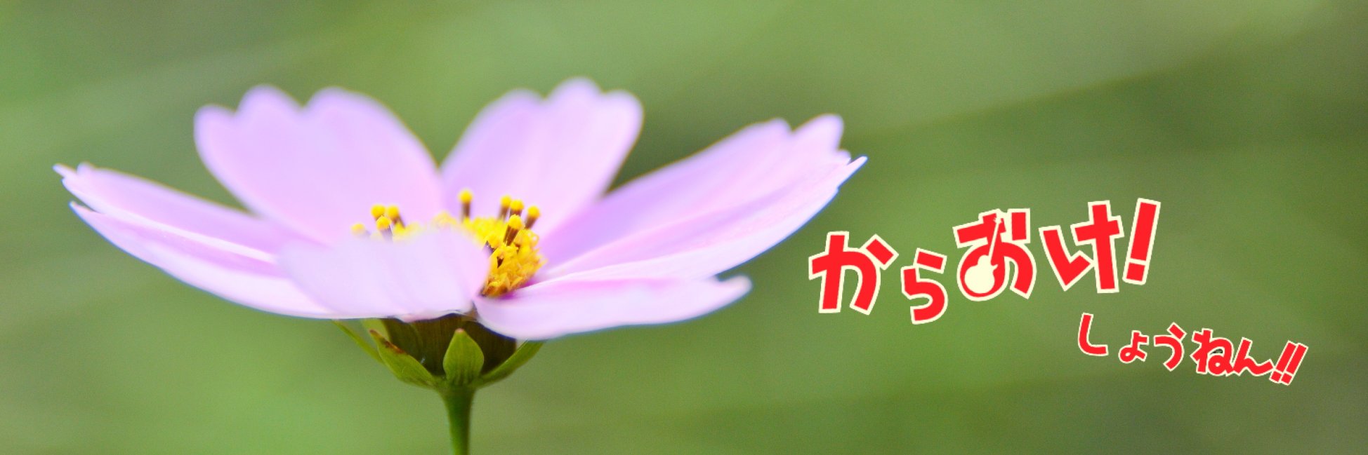 tkpj2002's profile banner image