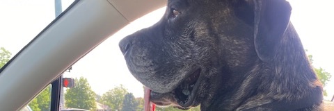 TheBob57's profile banner image