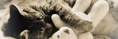 NuryTokimore's profile banner image