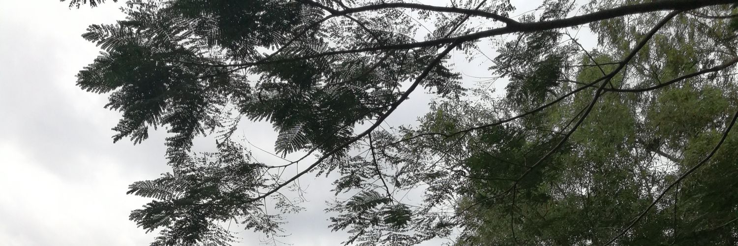 darkboy2442's profile banner image
