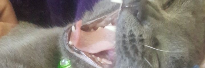 thisguylance's profile banner image