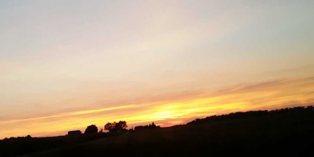 libby_hansen's profile banner image