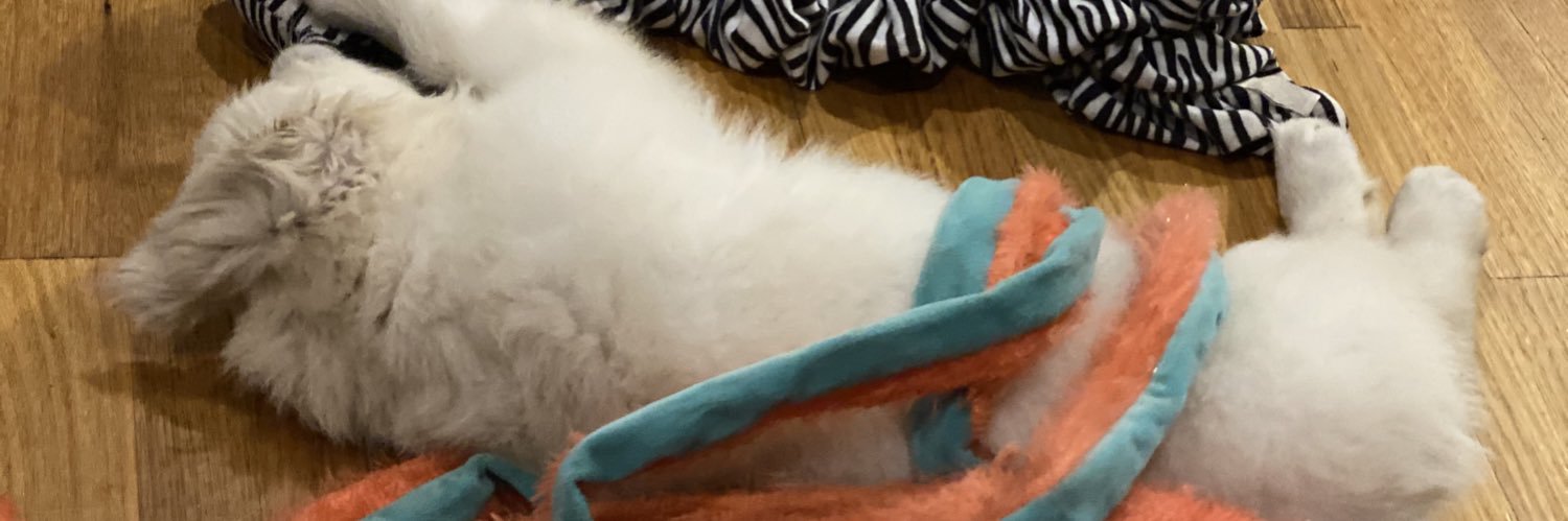 Den banner