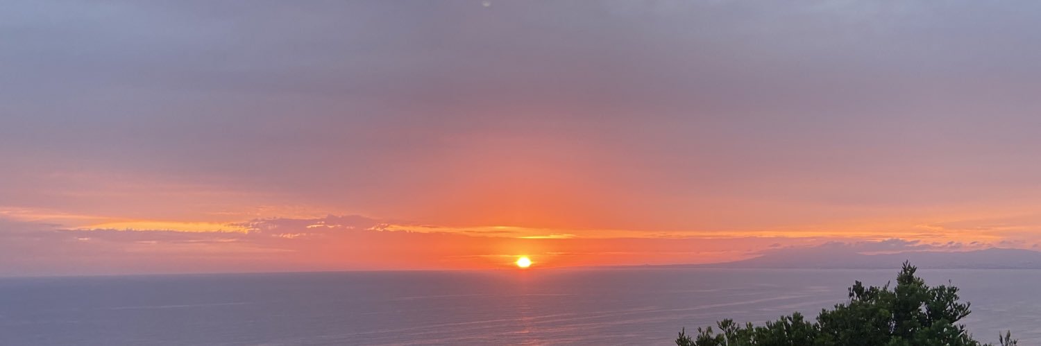João Santos banner