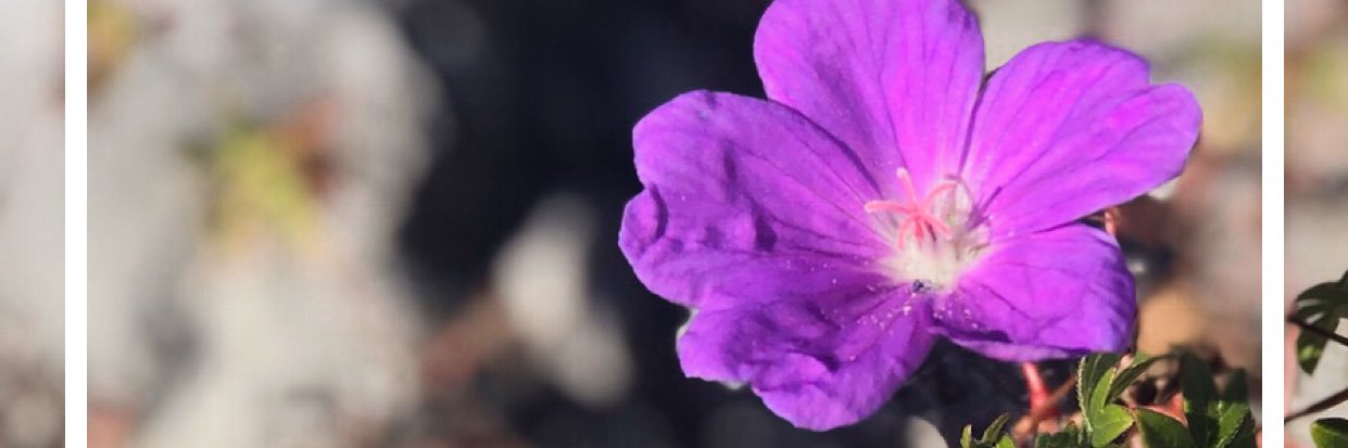 BeRo0Q8's profile banner image