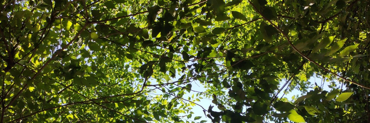 asun_m_b's profile banner image