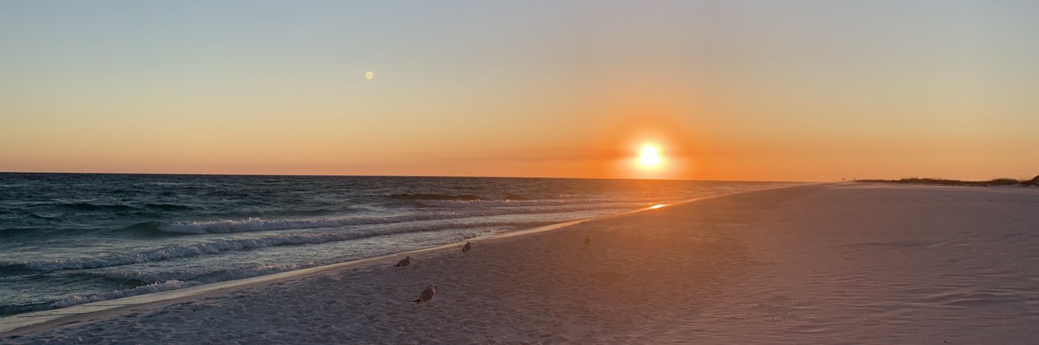Ash_renee8's profile banner image