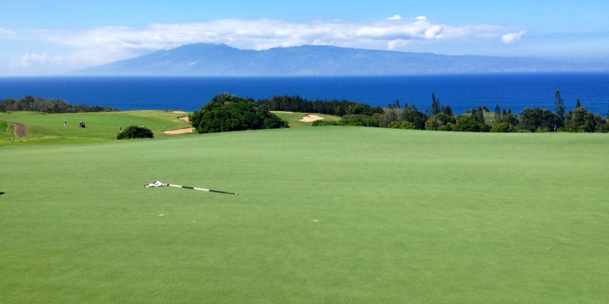 mauidaytrader's profile banner image