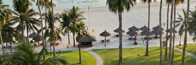 Oluwole Adewusi banner