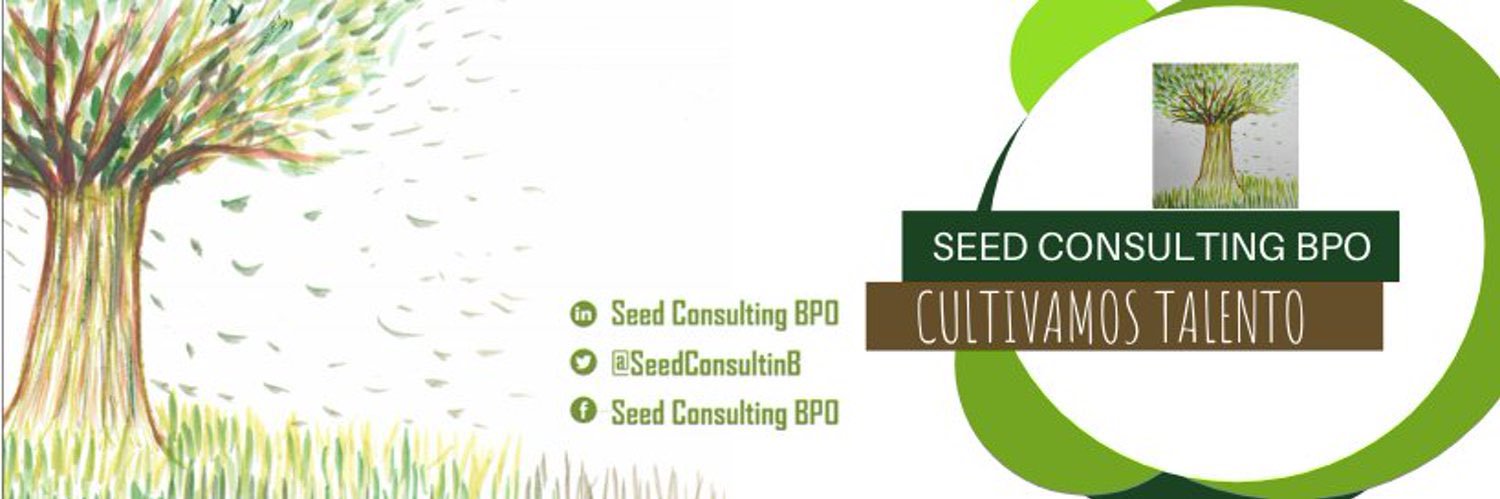 Seed Consulting 🅱🅿🅾 banner
