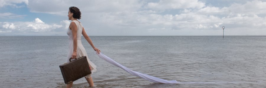 monica de ioanni banner