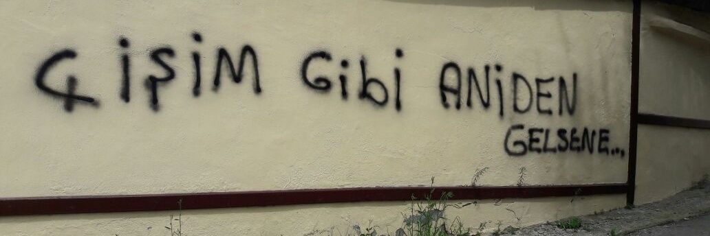 fati_aydin's profile banner image