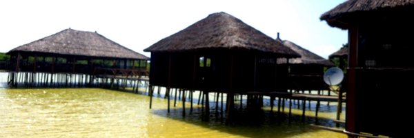 Dereal_ZAMI Profile Banner