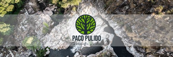 pacopulido_com Profile Banner