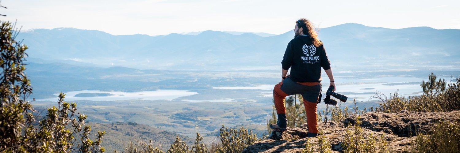 Paco Pulido banner