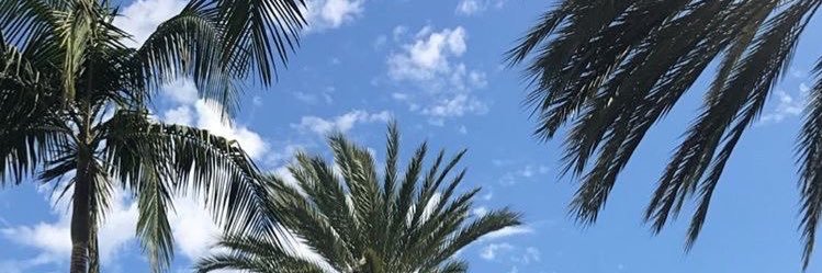 asap_drewski's profile banner image