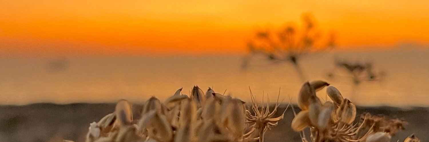 MarkoVrandecic's profile banner image
